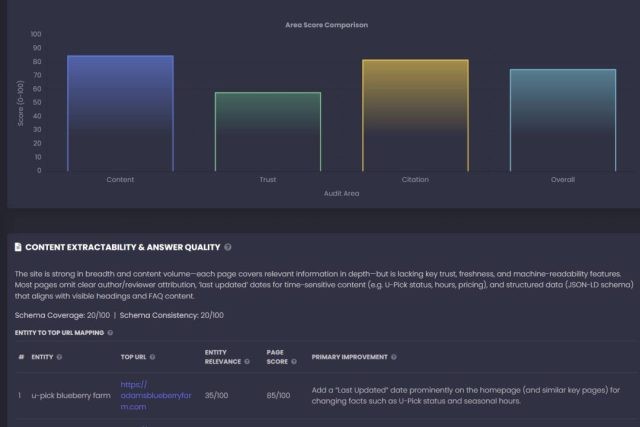 Free GEO Audit & AI Visibility Brand Check